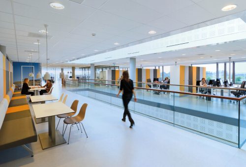 Portfolio Image