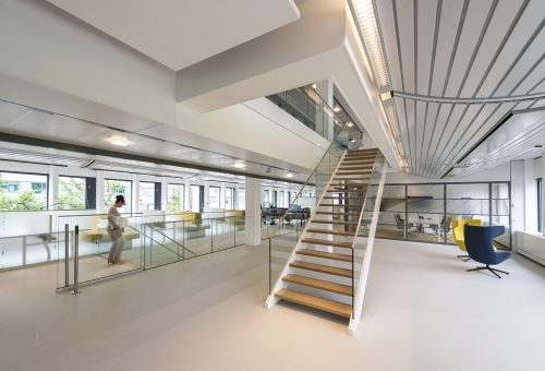 Portfolio Image