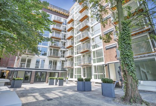 Portfolio Image