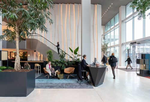 Portfolio Image